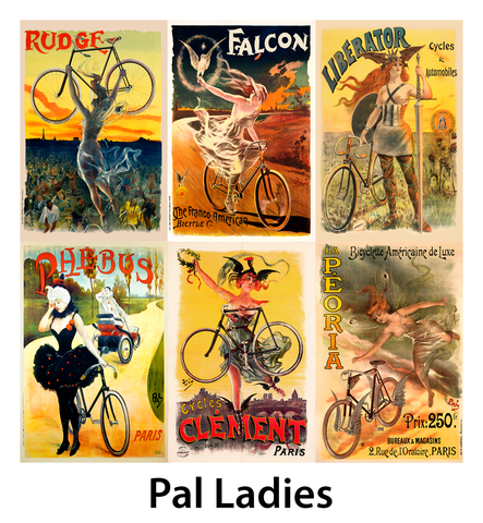 PAL Ladies Set of 6
