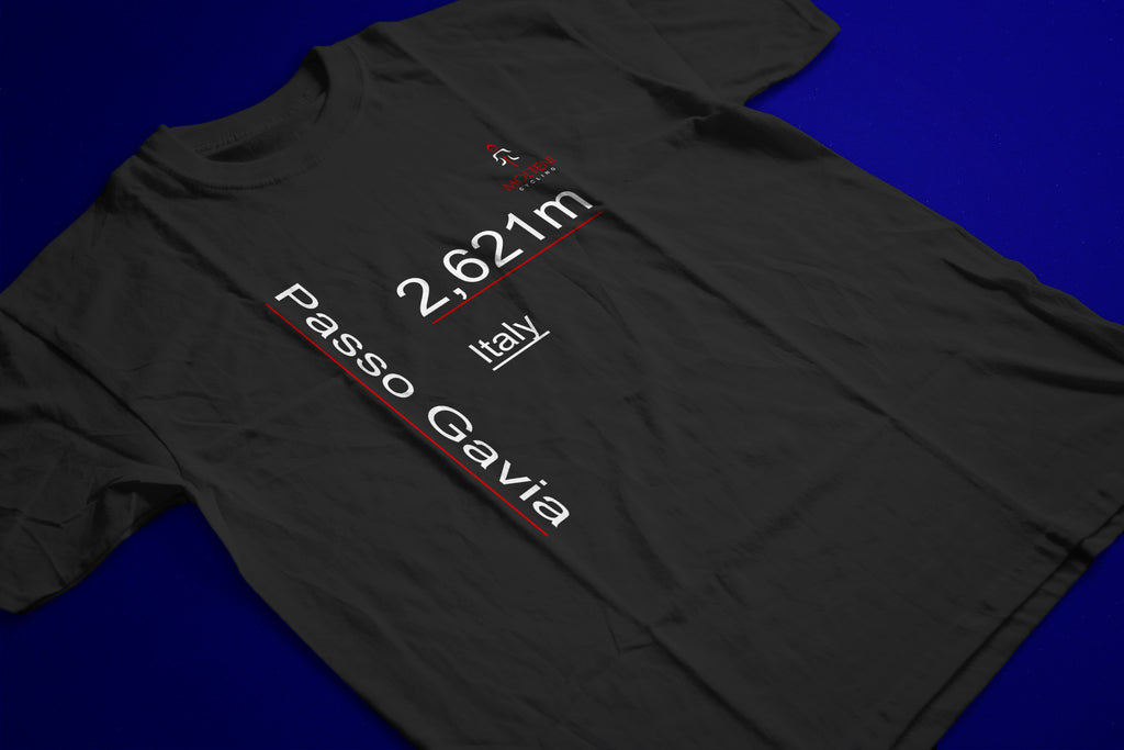 PASSO GAVIA CLIMBING T-SHIRT - MOLTENI CYCLING