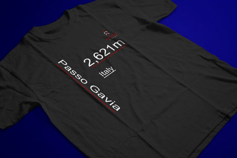 PASSO GAVIA CLIMBING T-SHIRT